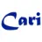 Caricaturer IO